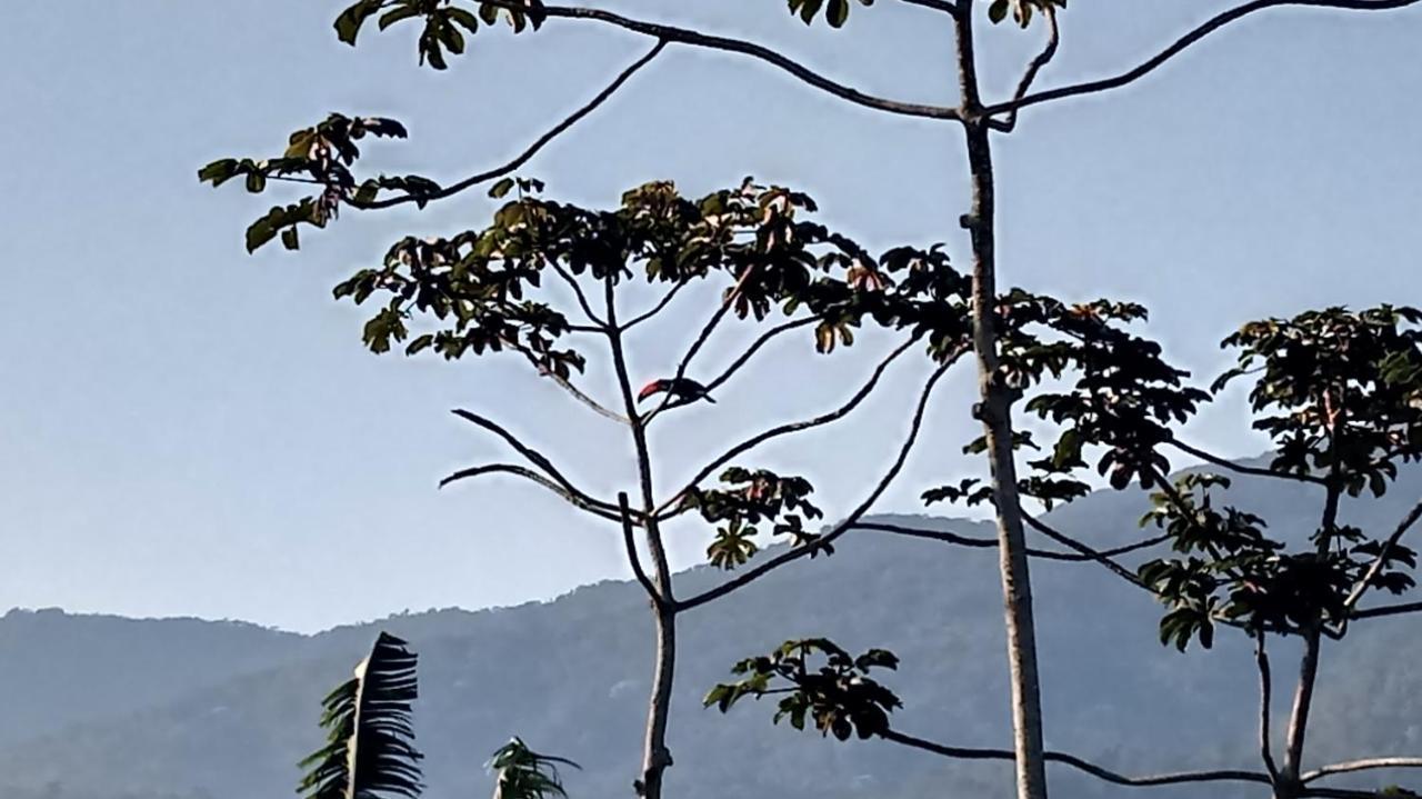 Casa De Montanha Na Praia 伊利亚贝拉 外观 照片